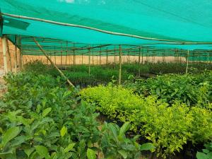 Nursery